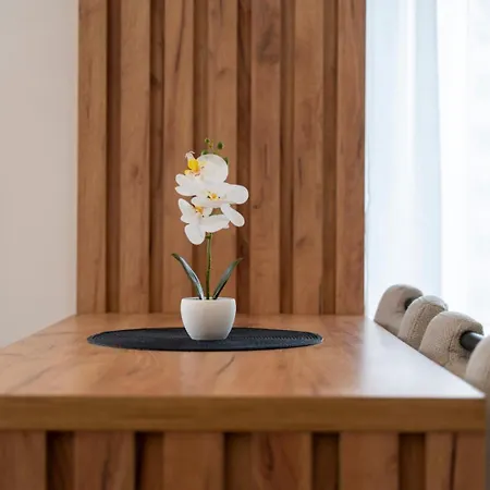 D&d Lux Apartment Zlatibor