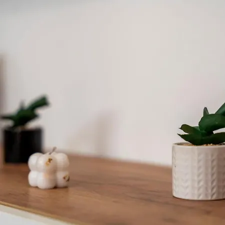 D&d Lux Apartment Zlatibor